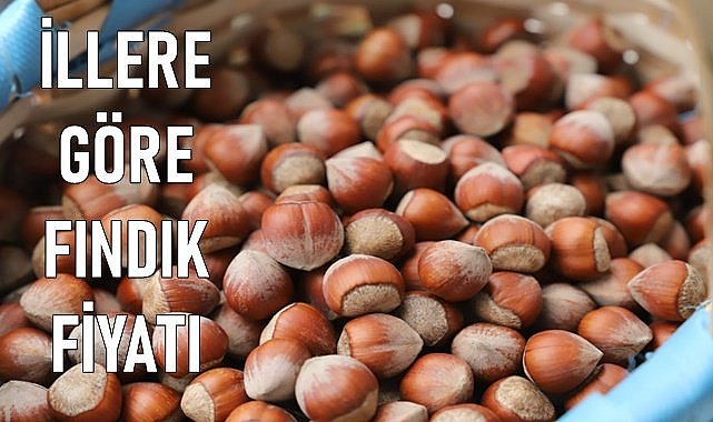 İllere göre fındık fiyatı ne kadar oldu?
