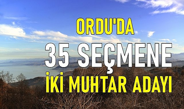 Ordu'da 35 seçmene iki  muhtar adayı!