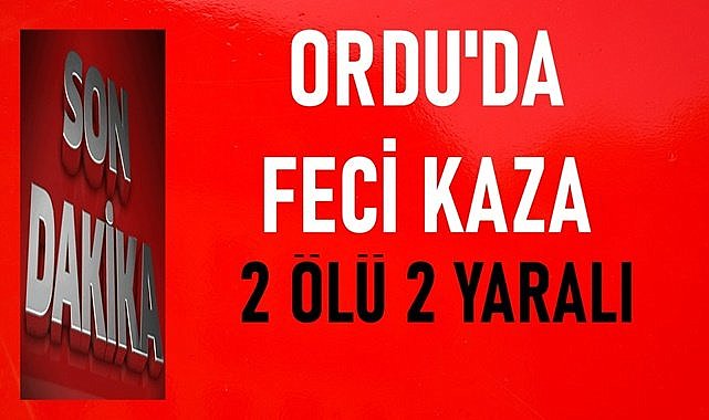 Ordu&#039;da kazada karı koca hayatını kaybetti