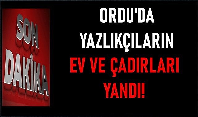 Ordu&#039;da yazlıkçıların çadır ve kulübeleri yandı