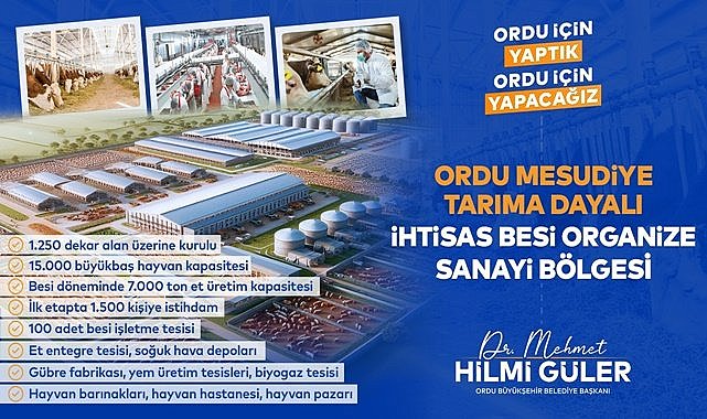 Bu proje Ordu&#039;nun kaderini değiştirecek