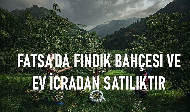 Fatsa&#039;da fındık bahçesi ve ev icradan satılık