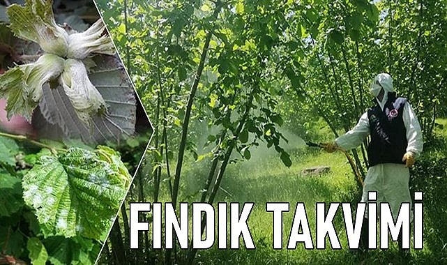 Fındık bahçesinde Mart ayında hangi bakım yapılır?