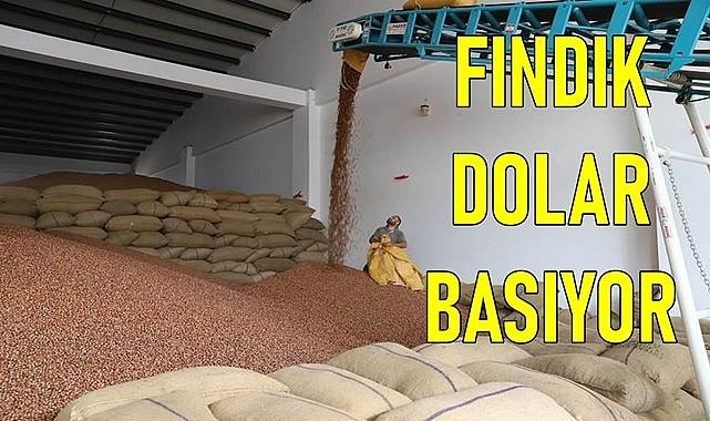 Fındık dolar basıyor;  Şubat ayında rekor kırdı