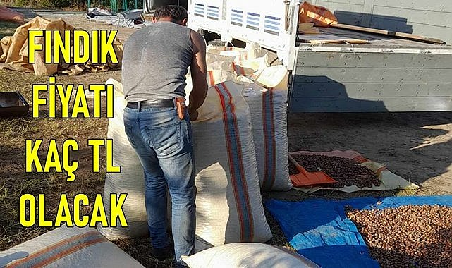 Fındık fiyatı (05.03.2024)