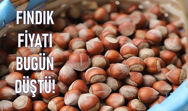 Fındık fiyatı 15.03.2024