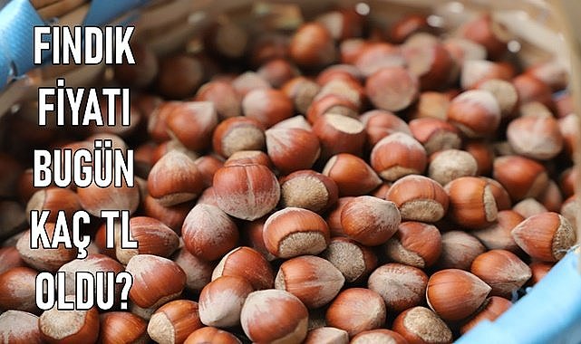 Fındık fiyatı 21.03.2024