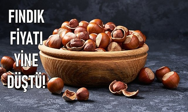 Fındık fiyatı 22.03.2024 fındık fiyatı yine düştü!