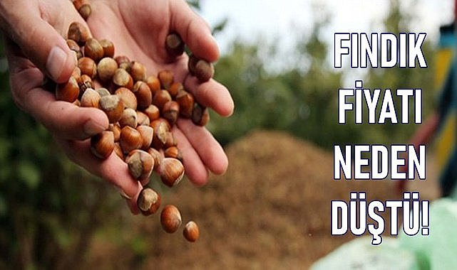 Fındık fiyatı 24.03.2024