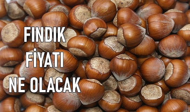 Fındık fiyatı (27.03.2024)