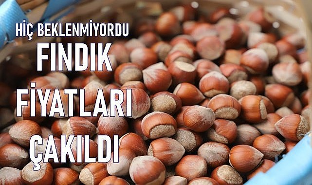 Fındık fiyatı çakıldı piyasalar karıştı!