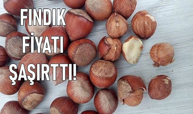 Fındık fiyatı Ordu 29.03.2024
