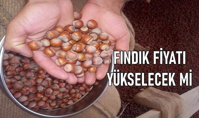 Fındık fiyatı randımana göre 31.03.2024