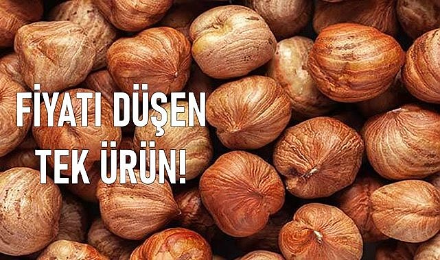 Fındık fiyatı şaşırtıyor, fiyatı düşen tek ürün fındık!