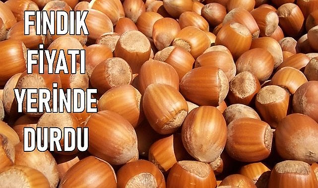 Fındık fiyatı yerinde durdu