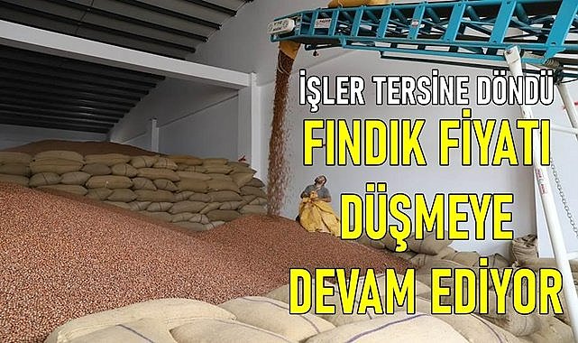 Fındık piyasası karıştı: Ferrero kararından sonra fiyat önce 5 bugünde 2 TL daha düştü