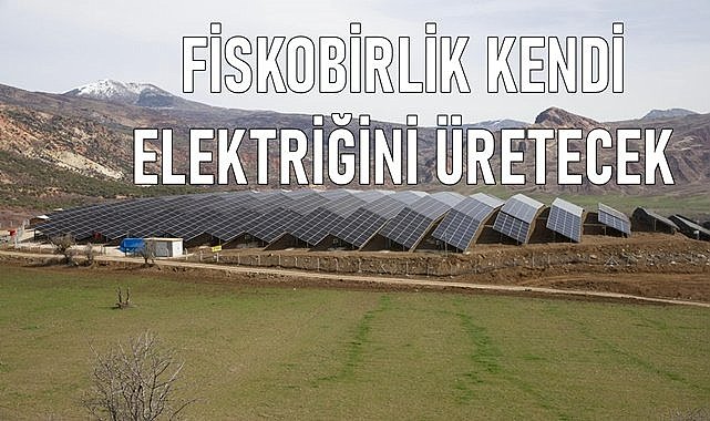 Fındık üreticisi kuruluşu Fiskobirlik  elektriğini güneşten üretmeye başladı