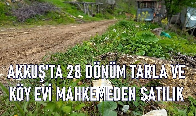 Ordu Akkuş&#039;ta 28 dönüm tarla ve köy evi mahkemeden satılık