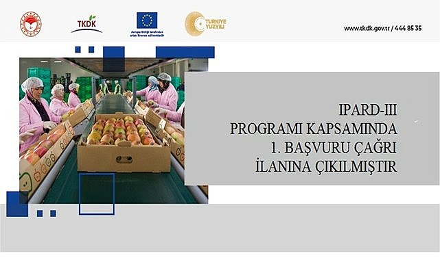 Ordu&#039;da bu yatırımı yapanlara para verilecek