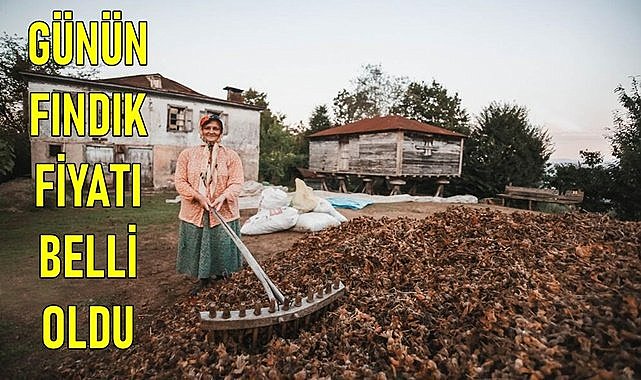 Ordu&#039;da fındık fiyatı (04.03.2024)