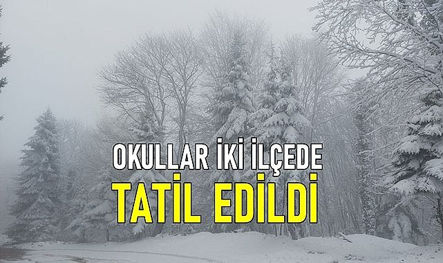 Ordu&#039;da kar nedeniyle iki ilçede okullar tatil oldu