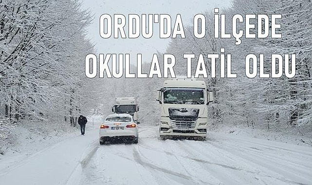 Ordu&#039;da kar yağışı nedeniyle O ilçede okullar tatil edildi