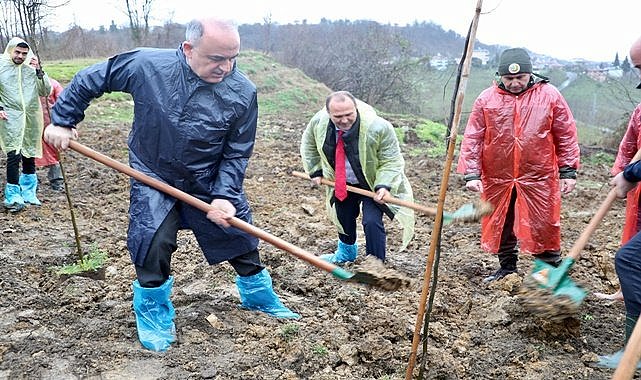 Ordu&#039;da Ormancılık Günü&#039;nde fidanlar toprakla buluştu