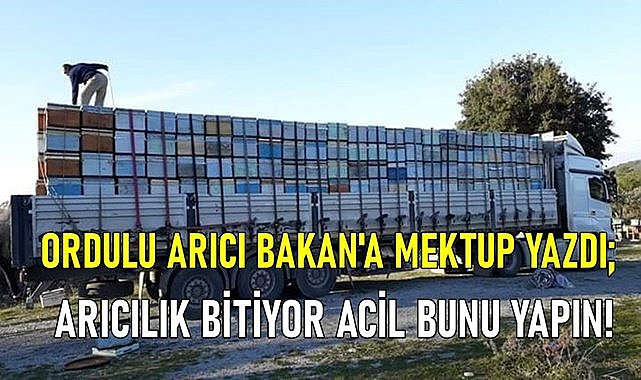 Ordulu Arıcı Bakan&#039;a mektup yazdı: Arıcılık bitebilir acil destek şart!
