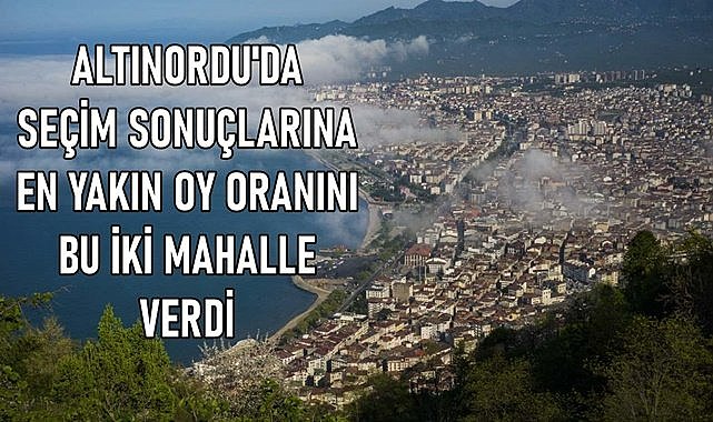Altınordu'da anket gibi sonuç...İki mahallenin oy oranı Altınordu'nun oy oranı ile aynı çıktı!