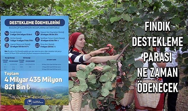 Bakanlığın açıkladığı listede fındık desteklemesi yok! Fındık üreticisi bu ödemeyi bekliyor