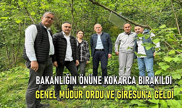 Bakanlığın önüne kahverengi kokarca bırakıldı, Genel Müdür Ordu Giresun&#039;a geldi