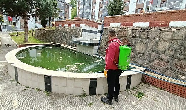 Büyükşehir mücadele başlattı, Ordu&#039;ya bu yaz sivrisinek uğramayacak!