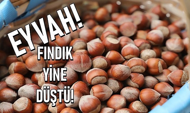 Eyvah! Fındık fiyatı yine düştü! Fiyatlar 3 TL birden geri geldi