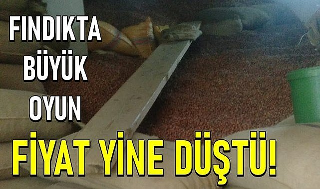 Fındık büyük oyun var, Fındık fiyatı yine düştü!