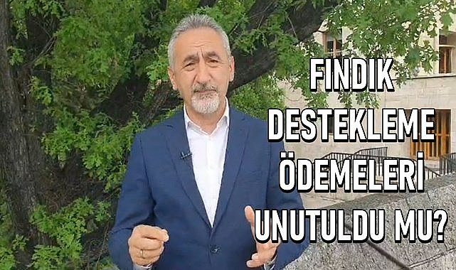 Fındık destekleme ödemeleri unutuldu mu? 170 TL bin TL olur mu?
