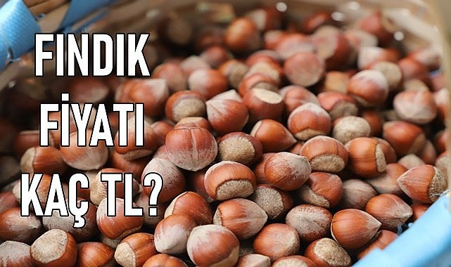 Fındık fiyatı (08.04.2024)