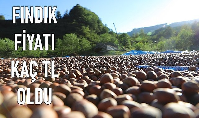 Fındık fiyatı 10.04.2024
