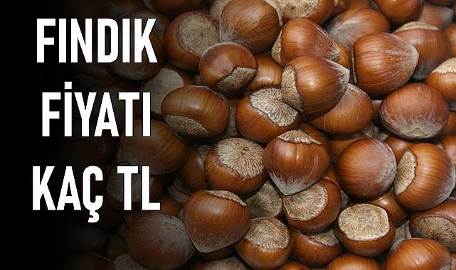 Fındık fiyatı 12.04.2024