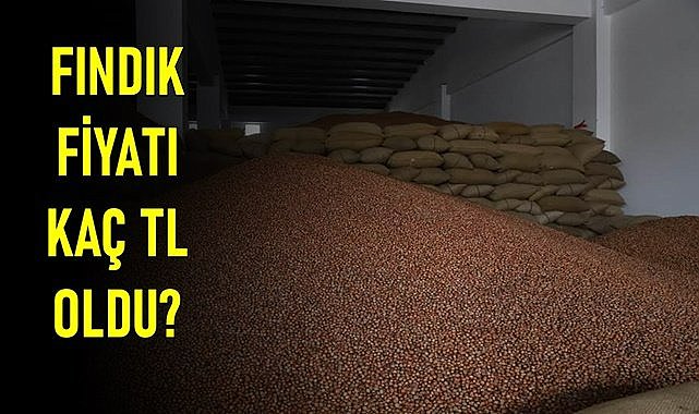 Fındık fiyatı 15.04.2024
