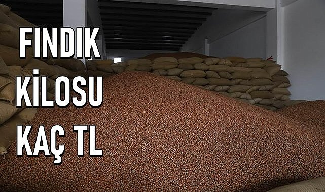Fındık fiyatı 22.04.2024
