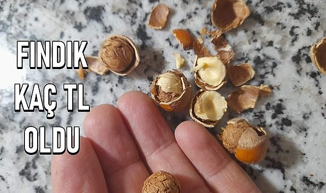 Fındık fiyatı 24.04.2024