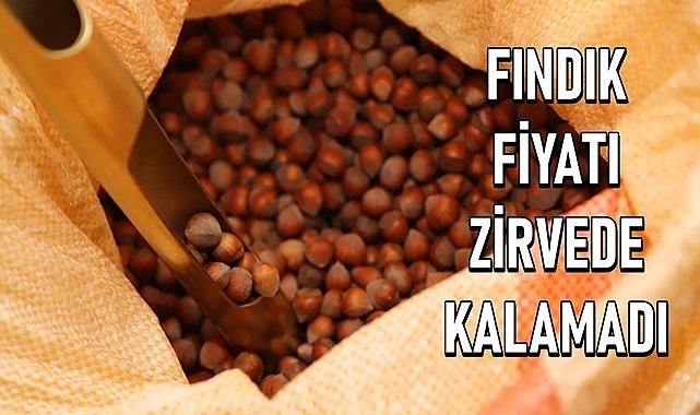 Fındık fiyatı 27.04.2024