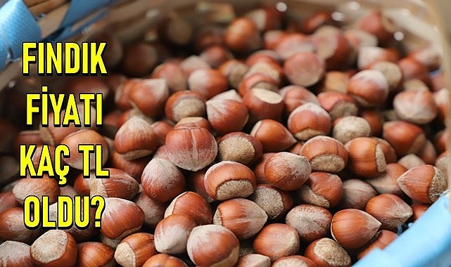 Fındık fiyatı 29.04.2024