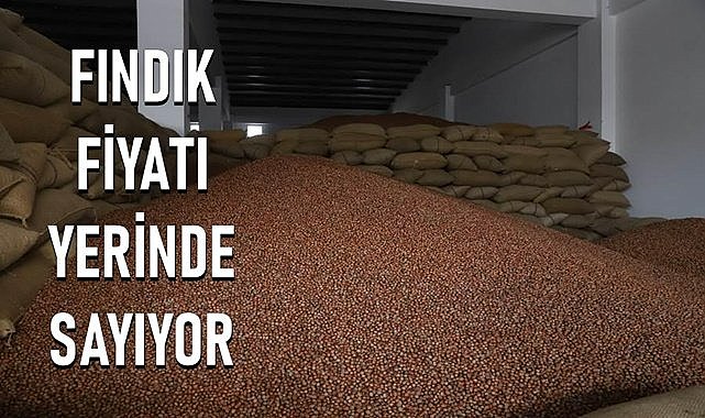 Fındık fiyatı 30 30.04.2024