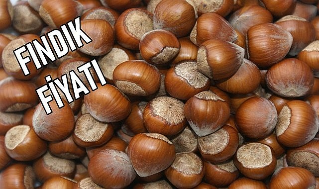 Fındık fiyatı bayram tatilinde kaç TL oldu?