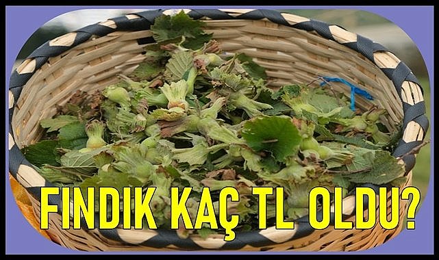 Fındık fiyatı bayram tatilinin son günü kaç TL?