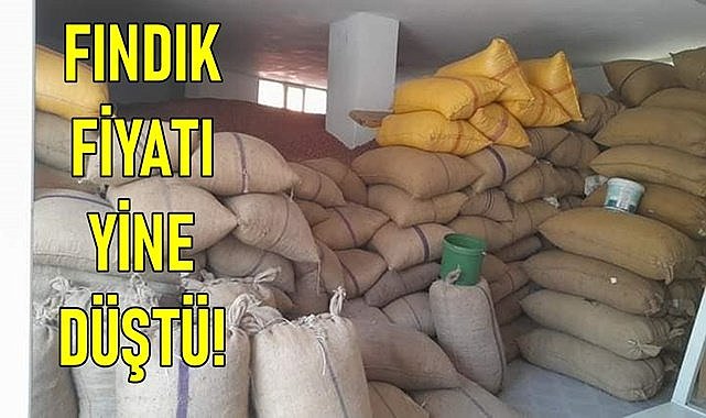 Fındık fiyatı bugün de düştü!