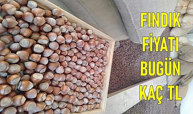 Fındık fiyatı Nisan ayının ilk günü ne kadar oldu?