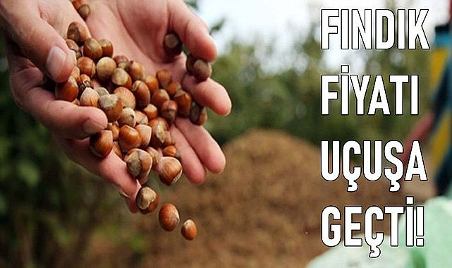 Fındık fiyatı uçuşa geçti; Piyasalar çalkalanıyor!