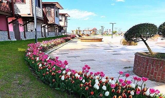 Ordu&#039;da laleler açtı görsel şölen başladı